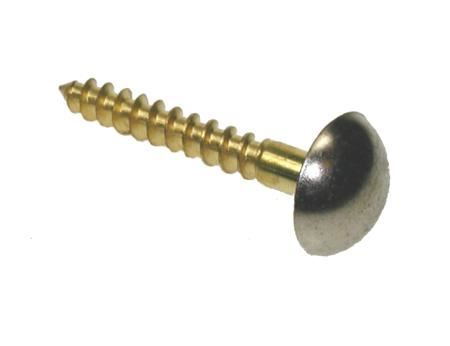 Picture for category Mirror Screws