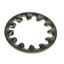 M6 A2 St/St Internal Shakeproof Washer DIN6798J
