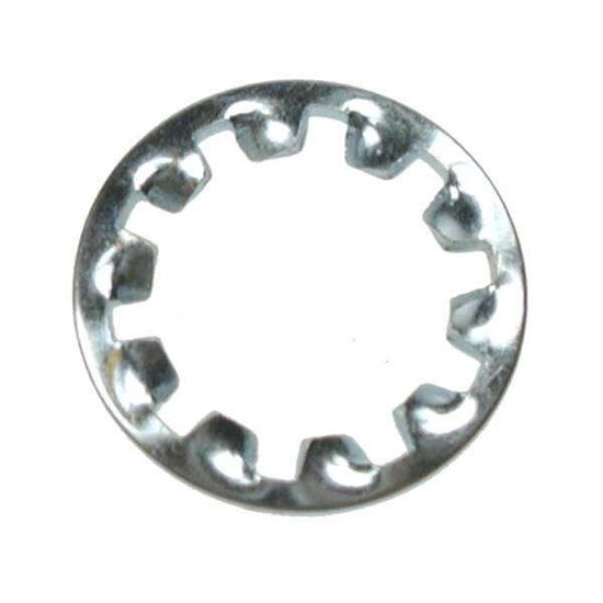 M6 Internal Shakeproof Washer Zinc