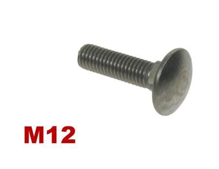 Picture for category M12 Coachbolt A4 Stainless