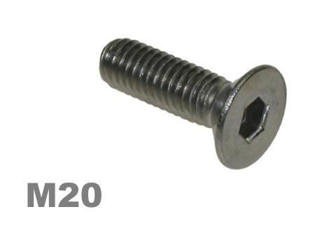 Picture for category M20 Socket Countersunk Zinc Finish