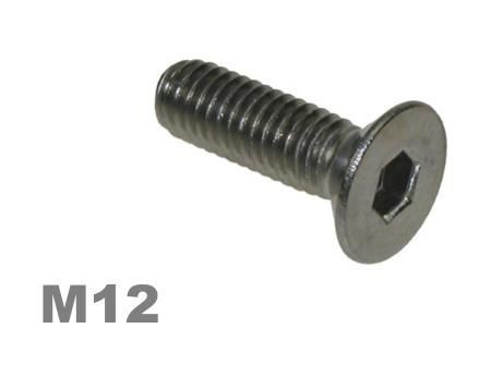 Picture for category M12 Socket Countersunk Zinc Finish