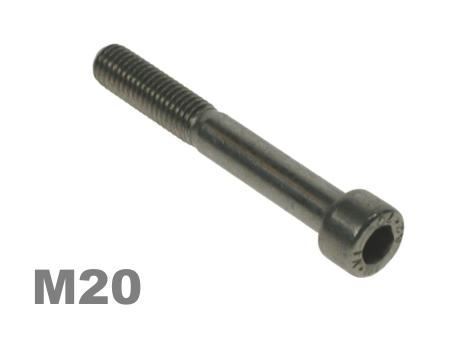 Picture for category M20 Socket Capscrew Zinc Finish