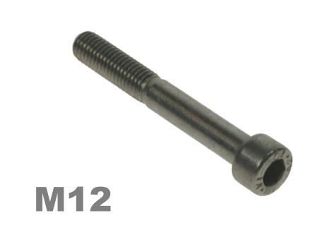 Picture for category M12 Socket Capscrew Zinc Finish