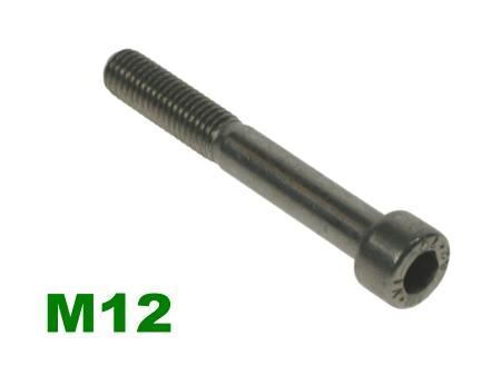 Picture for category M12 Socket Capscrew A2 Stainless