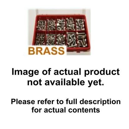 Picture of 310 Piece Brass Slot Pan M/Screw, Nut & Washer Kit